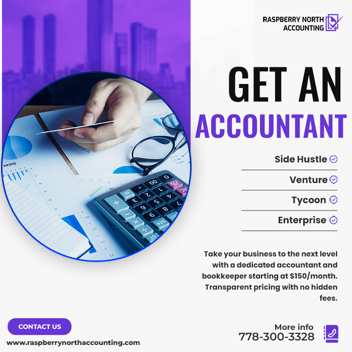 Raspberry North Accounting specializes in providing personalized bookkeeping