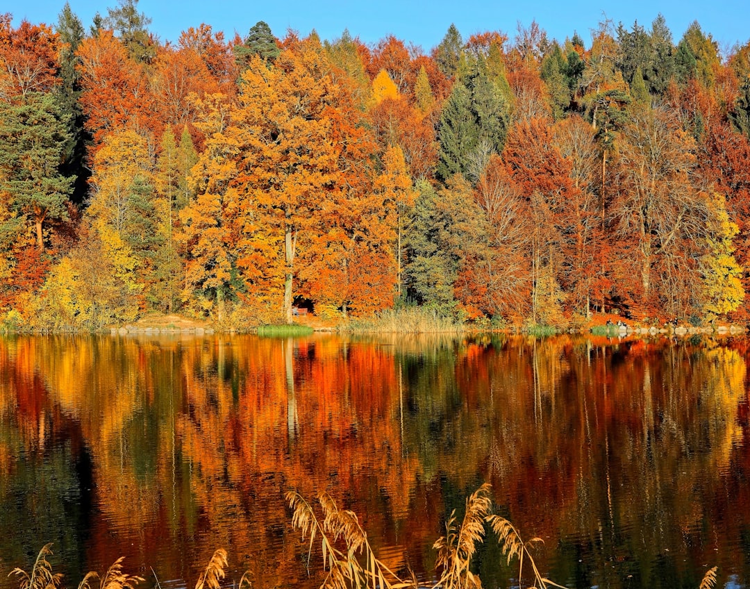 Fall can be one of the prettiest seasons